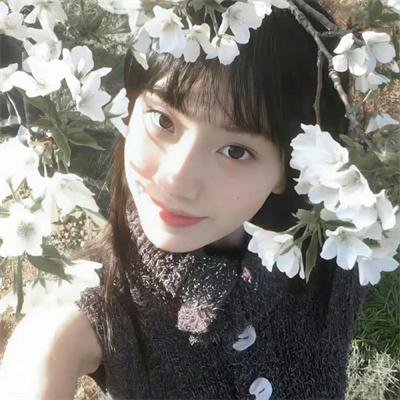 宝岛妖后